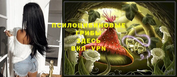 гашик Алексеевка